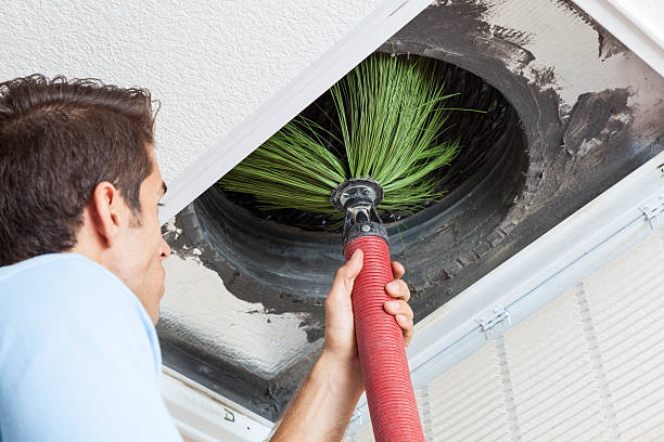 Best Air Vent Cleaning Services  in Albion, PA